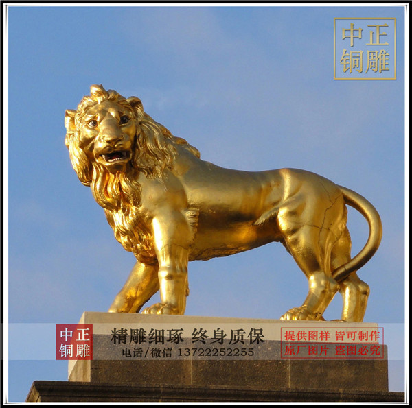 HTB1QkbyXIfrK1RjSszcq6xGGFXaW.jpg_.webp.jpg HTB1QkbyXIfrK1RjSszcq6xGGFXaW.jpg_.webp.jpg